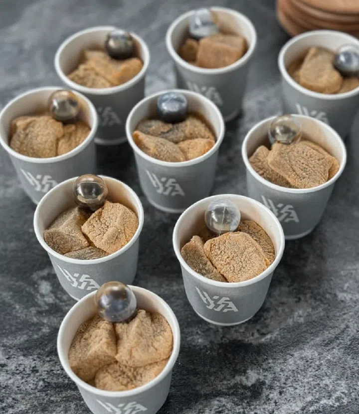 Credit: Waga Waga Lab