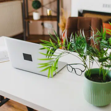 Fengshui Tips For Your Office To Improve Your Career