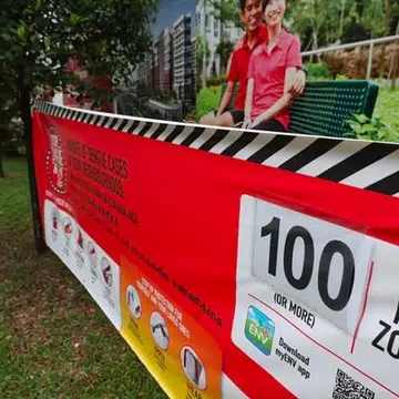 Singapore has entered the traditional peak dengue season, which lasts from June to October.