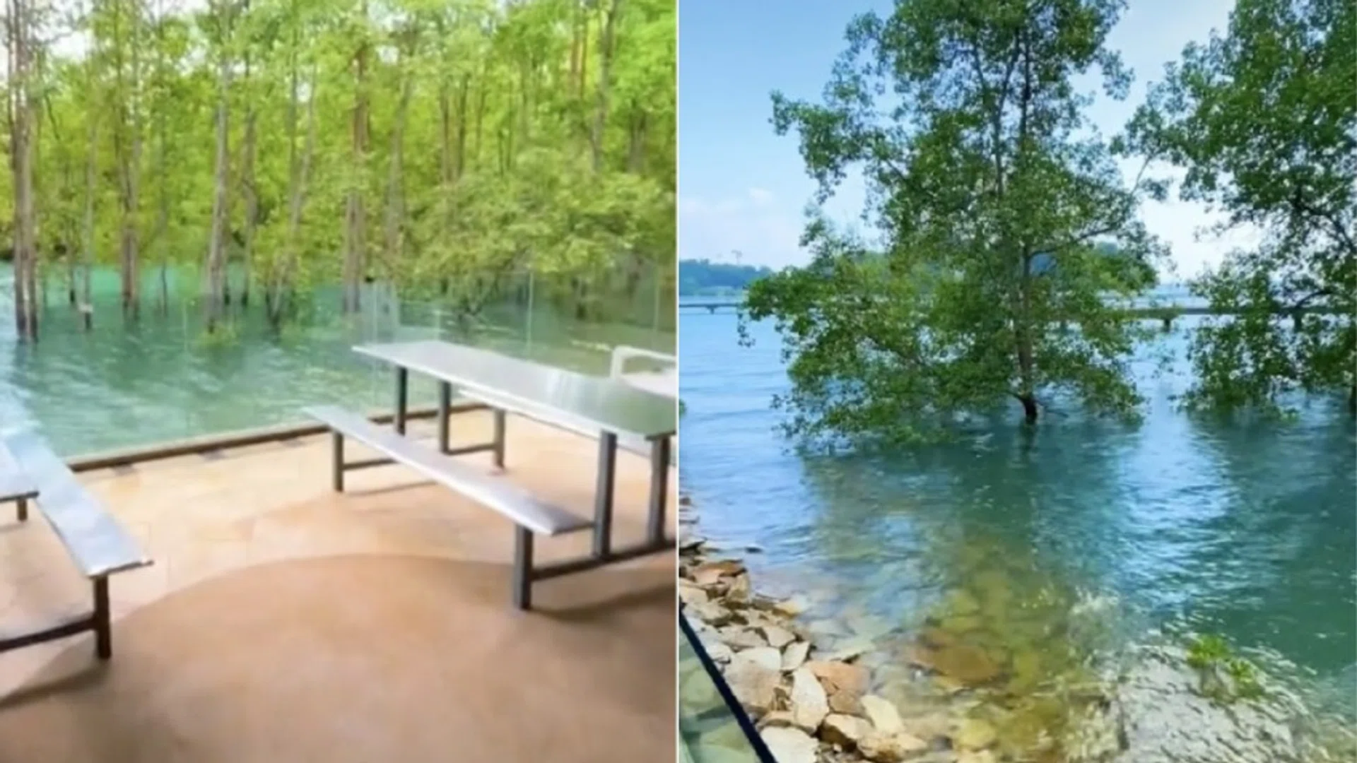 TikTok/singaporebeauty