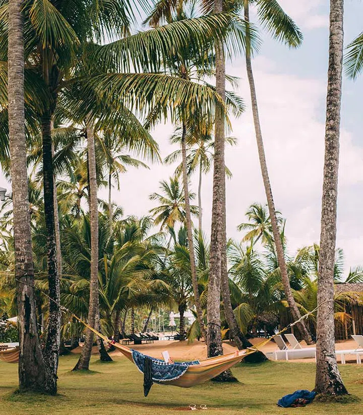 Use this time to rediscover you. (Photo by Laura Stanley from Pexels)