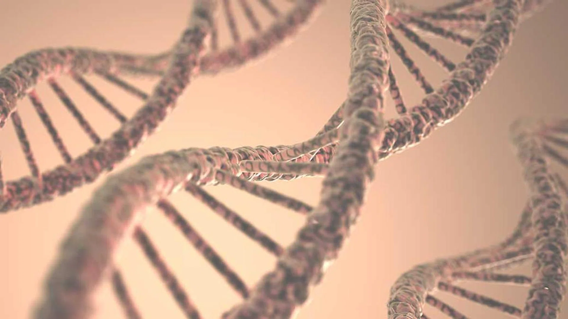 In its simplest terms, epigenetics studies our ability to switch genes on and off.