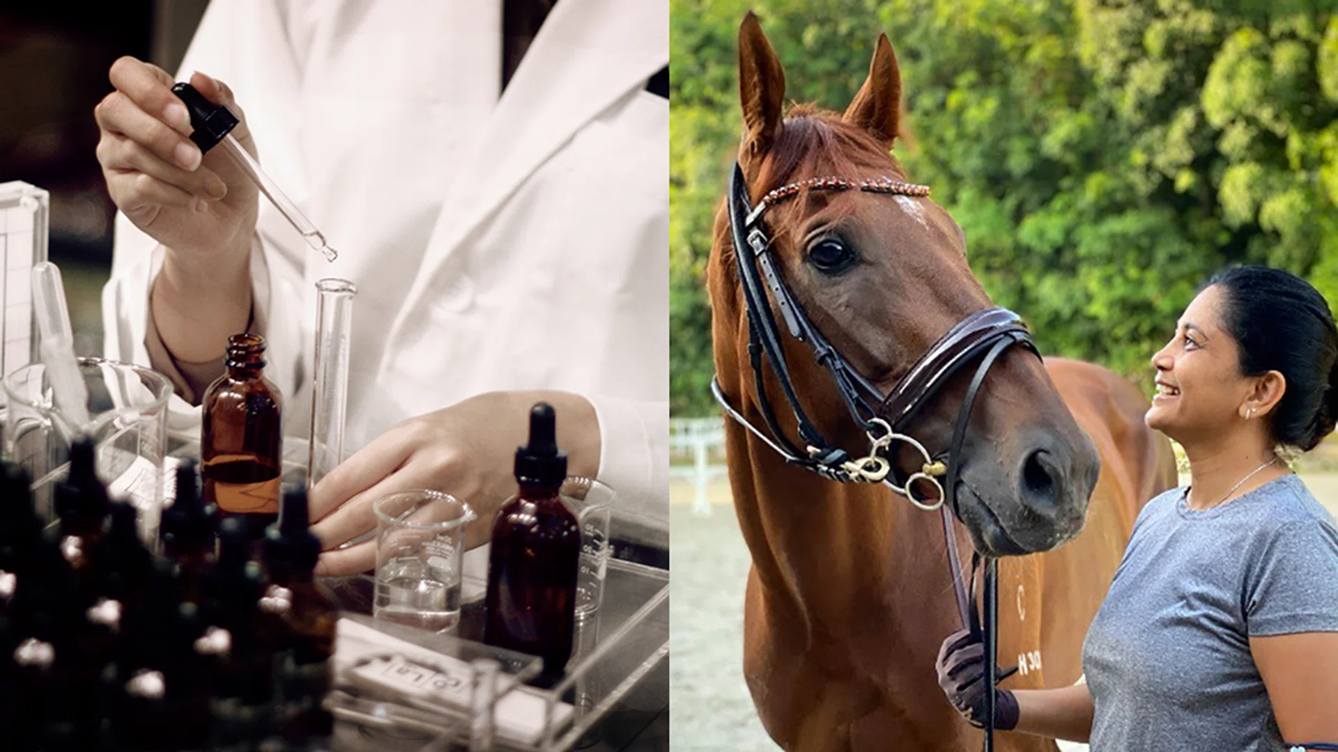 Credit: Oo La Lab and Singapore Turf Club/Facebook