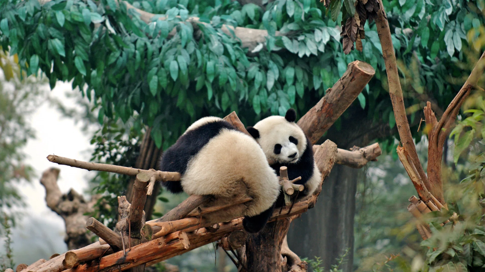 Credit: mchen007/ iStock / Getty Images Plus 