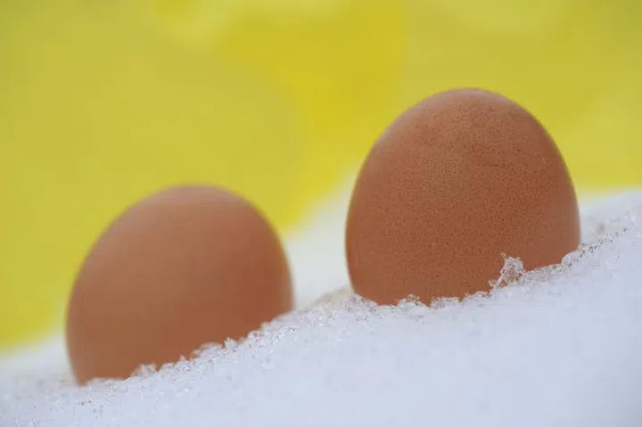 Eggs  lying in the snow with yellow background