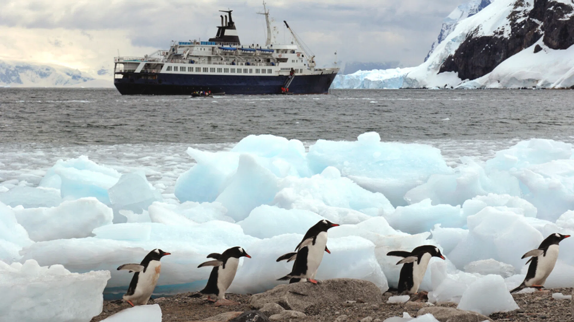 A Luxury Cruise To Antarctica, travelling from Singapore