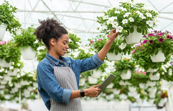 Plant quality control and digital devices. Smiling african american woman checking flowers and looking at digital tablet in daylight in greenhouse, free space