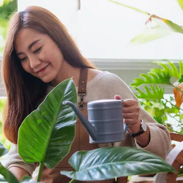 mental health care languishing 5