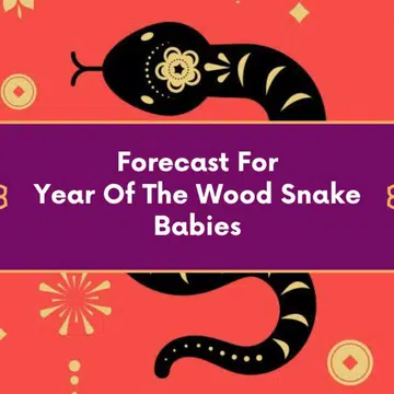 fengshui forecast year of wood snake baby 2025