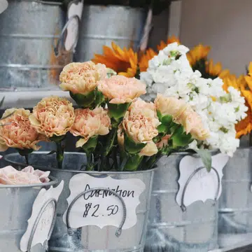 Improve-Your-Love-Life-With-This-Easy-Feng-Shui-Hack-Featured-Image