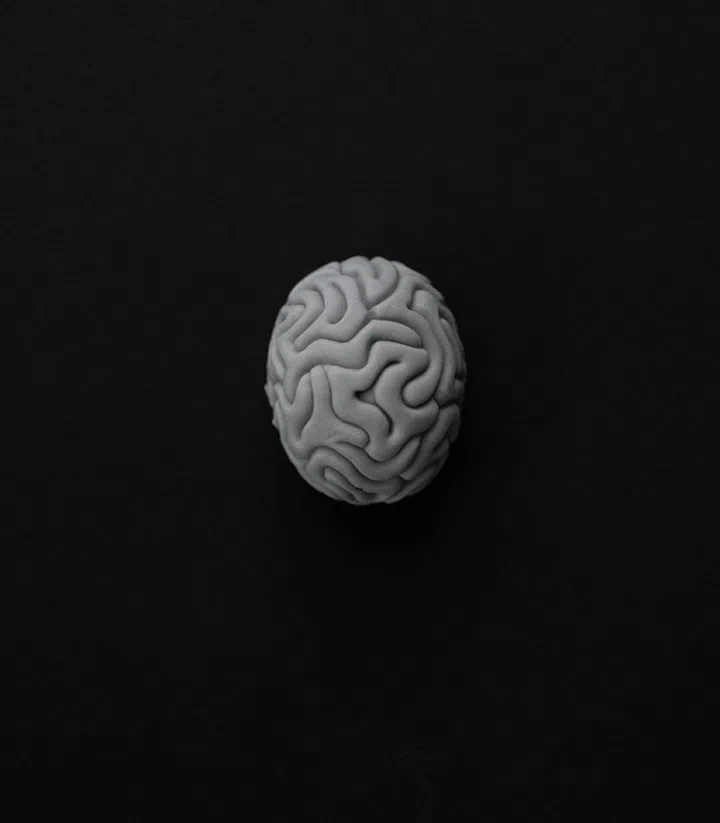 Your brain has also been built for you, and all the things that go on in your brain. (Photo by EKATERINA BOLOVTSOVA from Pexels)