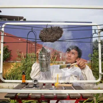 exploring-singapore-honey-tasting-farm-to-table-drinks-rooftop-siglap