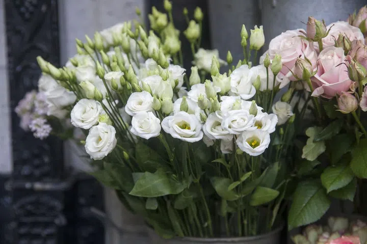 the eustoma in a bouquet for wedding ceremonies for sale