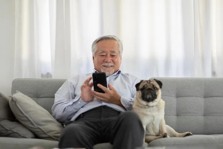 Happiness elderly asian man sitting on sofa and using mobile phone and smile with dog pug breed at home,Portrait of senior man enjoying retirement at home concept