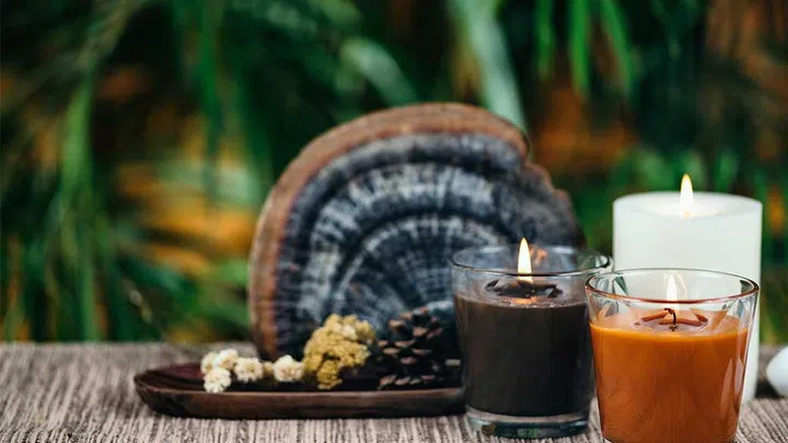 Sandalwood is one fo the most important ingredients in Ayurveda and traditional beauty rituals because of its anti-inflammatory, anti-bacterial, cooling, and brightening effects