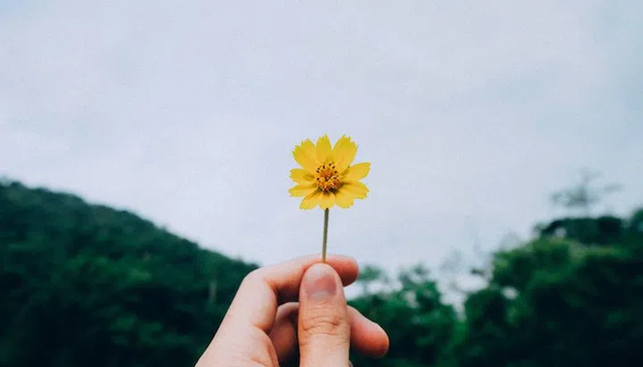 Credit: Unsplash