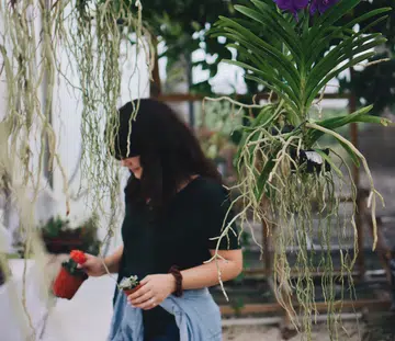 6-ways-to-mozzie-proof-your-home-and-prevent-dengue