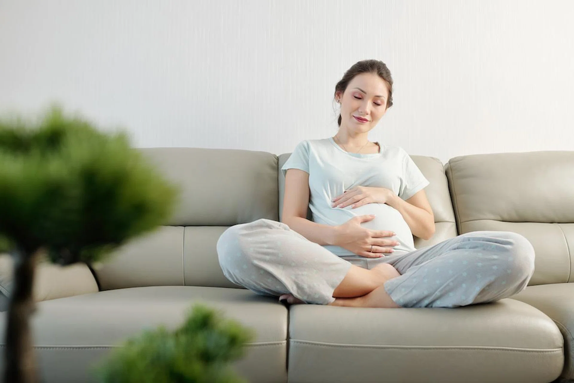 Credit: Envato Elements