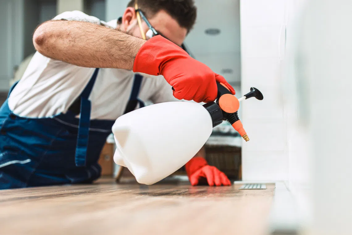 10 Formaldehyde Removal Services For Your Post-Reno Clean- Up | The ...