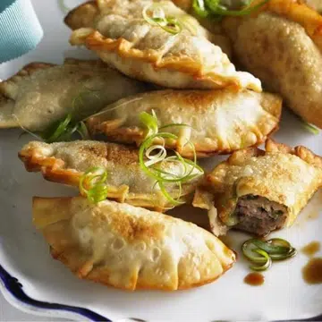 Crispy Fried Pork Dumplings