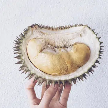 Durian calories fat content
