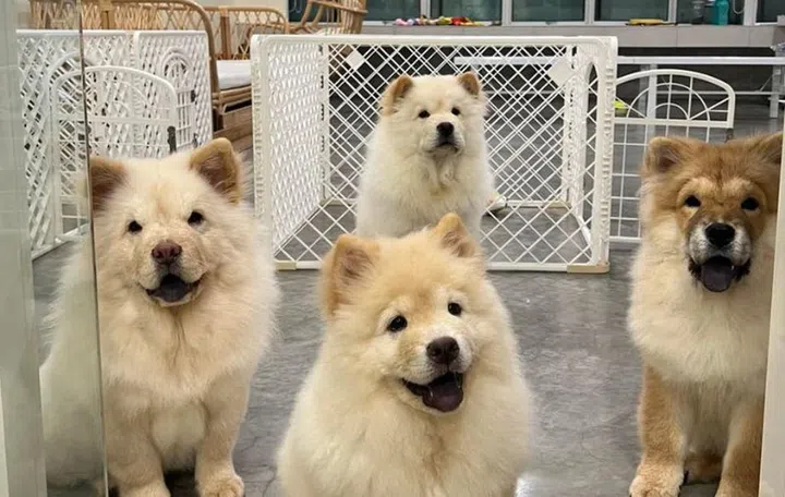 Source: Chill ‘N Chow