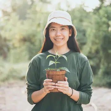 everything-you-need-to-know-about-plant-fertilisers