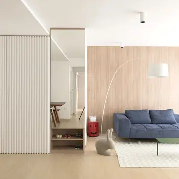 Minimalist home