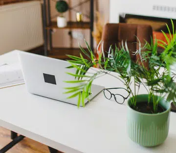 Fengshui Tips For Your Office To Improve Your Career