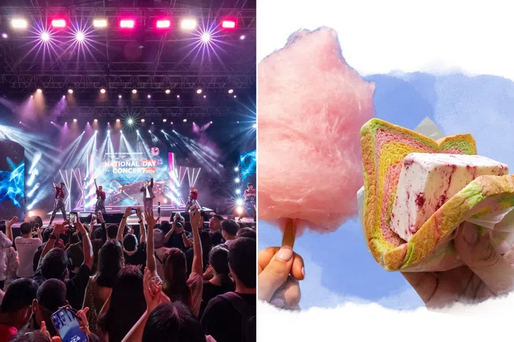 Gardens by the Bay and Mediacorp National Day Concert 2026