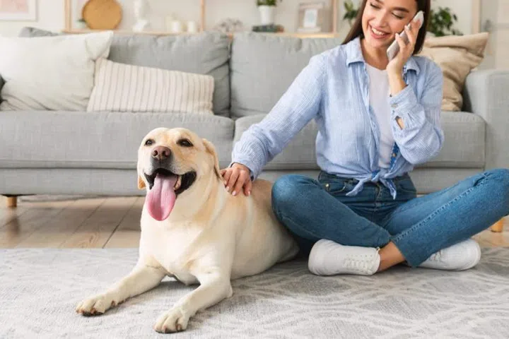 Everyday Life Concept. Casual girl talking on cell phone and caressing labrador, sitting on the floor in living room
