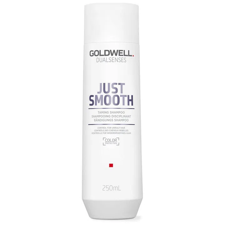 Best Shampoo For Frizzy Hair Goldwell Dualsenses Just Smooth Taming Shampoo