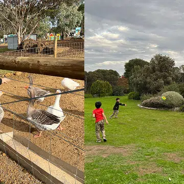 Top Tips For Travelling Around Perth And Margaret River With Kids