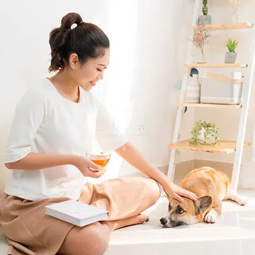 How To Save Money On Pet Care In SIngapore