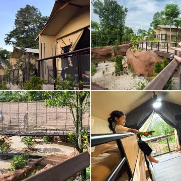 crocodile lodge review mandai glamping