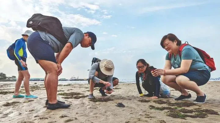 Man Jing leading an intertidal tour at Changi Beach. Photo: Kong Man Jing / Just Keep Thinking
