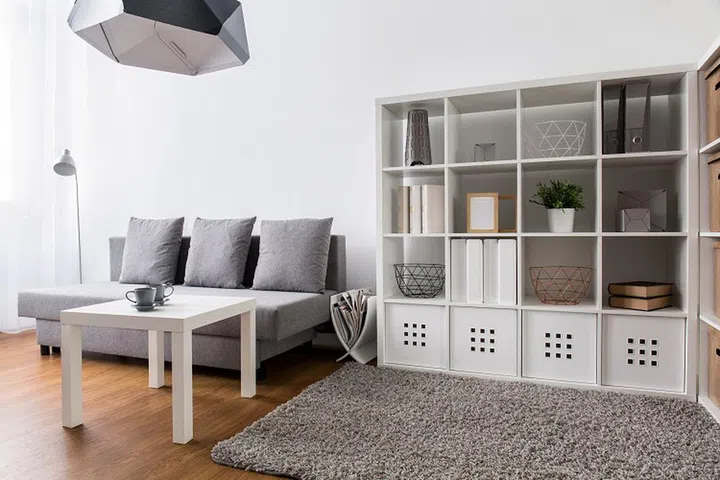 Interior with big, modern bookcase, small carpet, sofa and table.