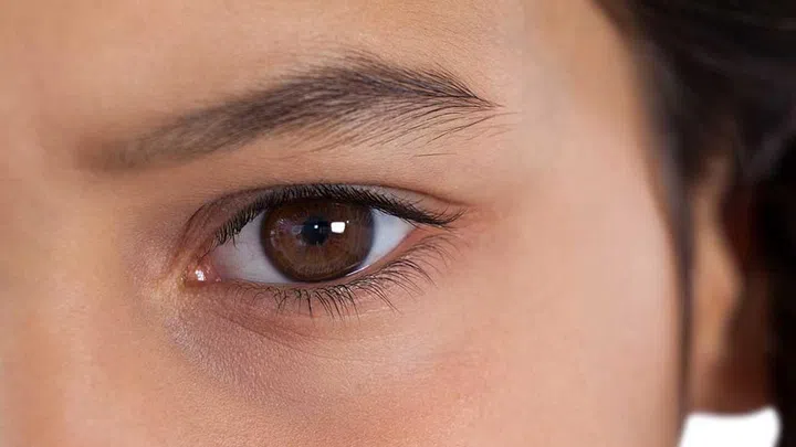 I still remember the make-up artist's horror: “Oh doll, look at those caterpillars. Have they ever been touched?" It took me a second to realise what he was talking about. "My brows?" I asked.