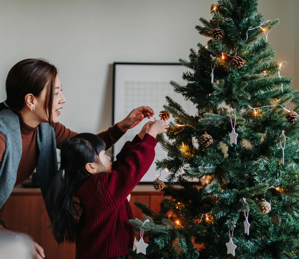 Christmas trees singapore