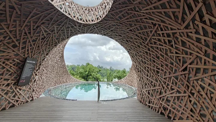Treehouse guests can access this serene pool. Credit: The Singapore Women's Weekly