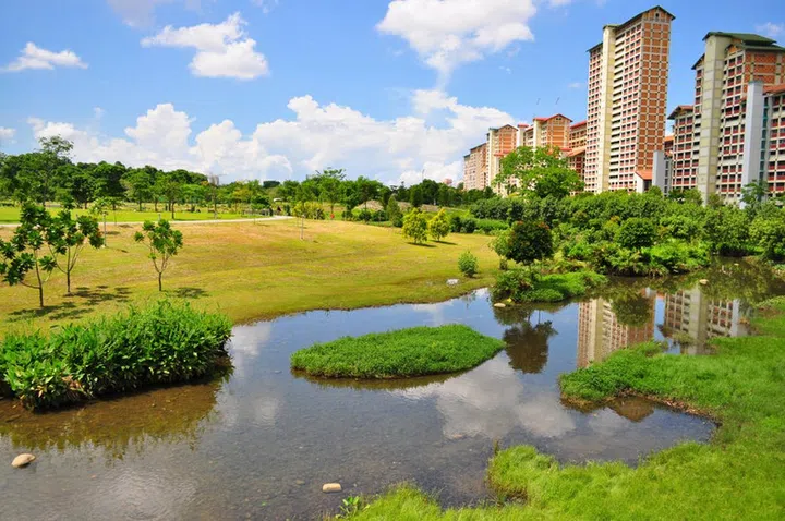 Green pasture with a river at Bishan Park, with some public apartments in the background