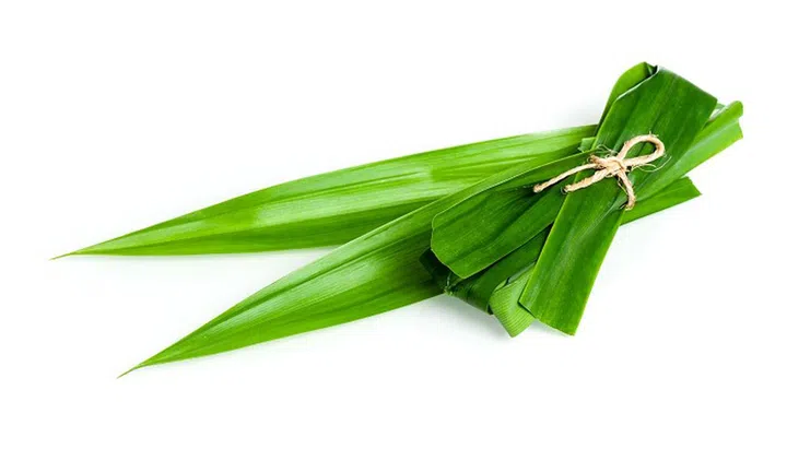 closeup green fresh Pandan leaves, Thai herbal
