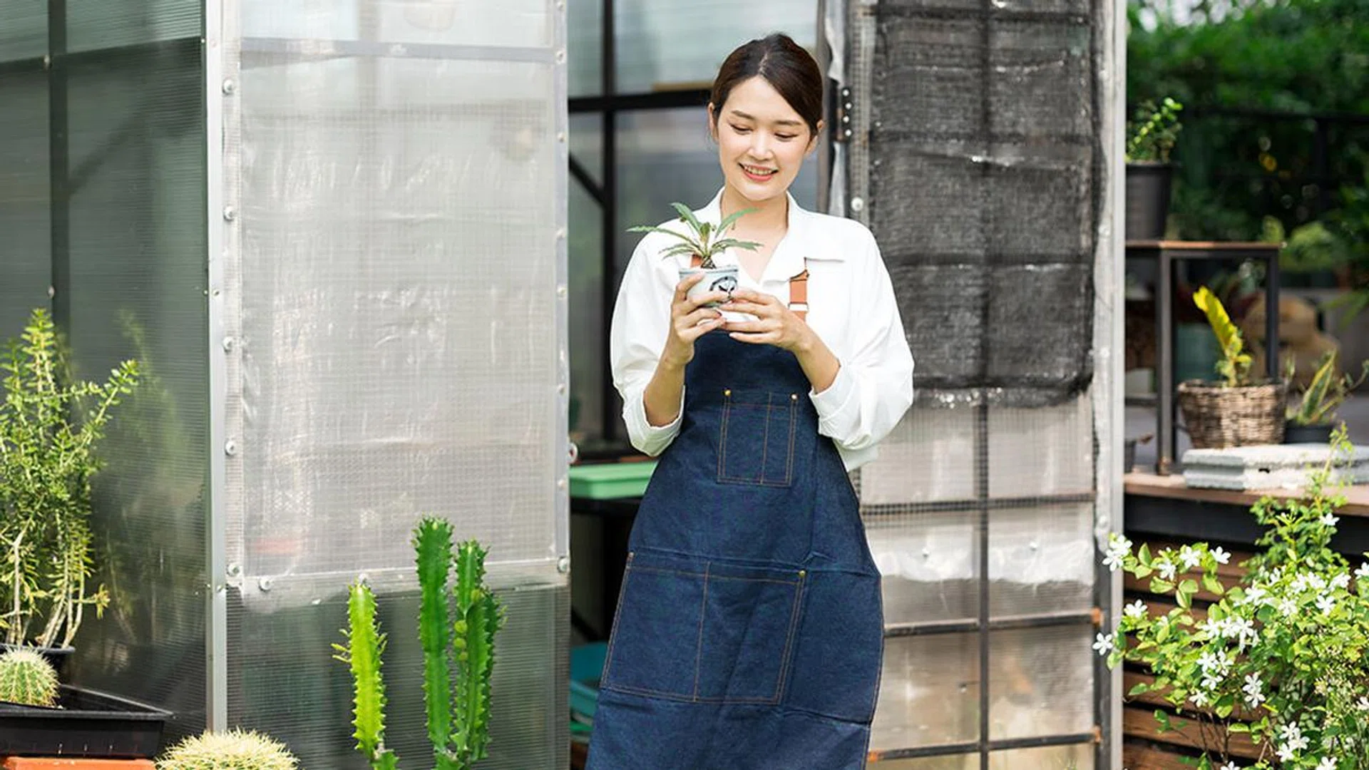 What Gardening Therapy Can Do For Your Mental Health