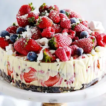 The-Night-Before Christmas Ice-Cream Cake