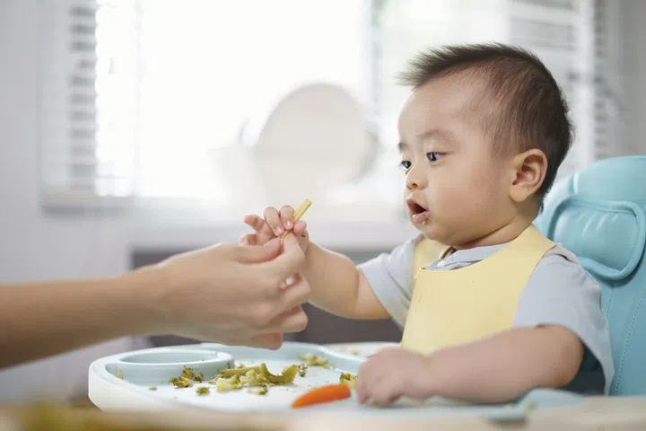 Asian little baby receive a baby corn from her hand mother. A son seat on a high chair in the kitchen at home. A boy looking at her hand mom holding a baby corn.