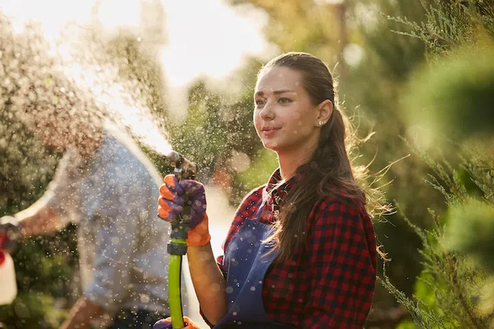 Work in the garden. Girl gardener sprays water and a guy sprays fertilizer on plants in the beautiful nursery-garden on a sunny day. .