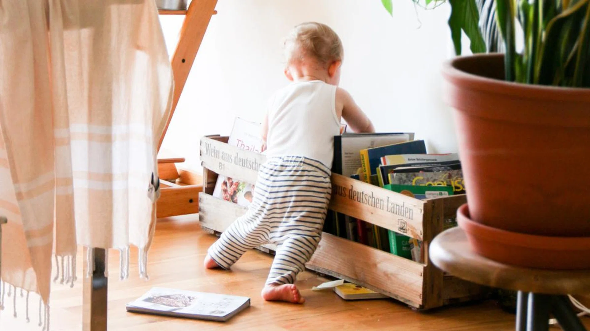 Dengue Cluster Singapore Mosquito Repellent