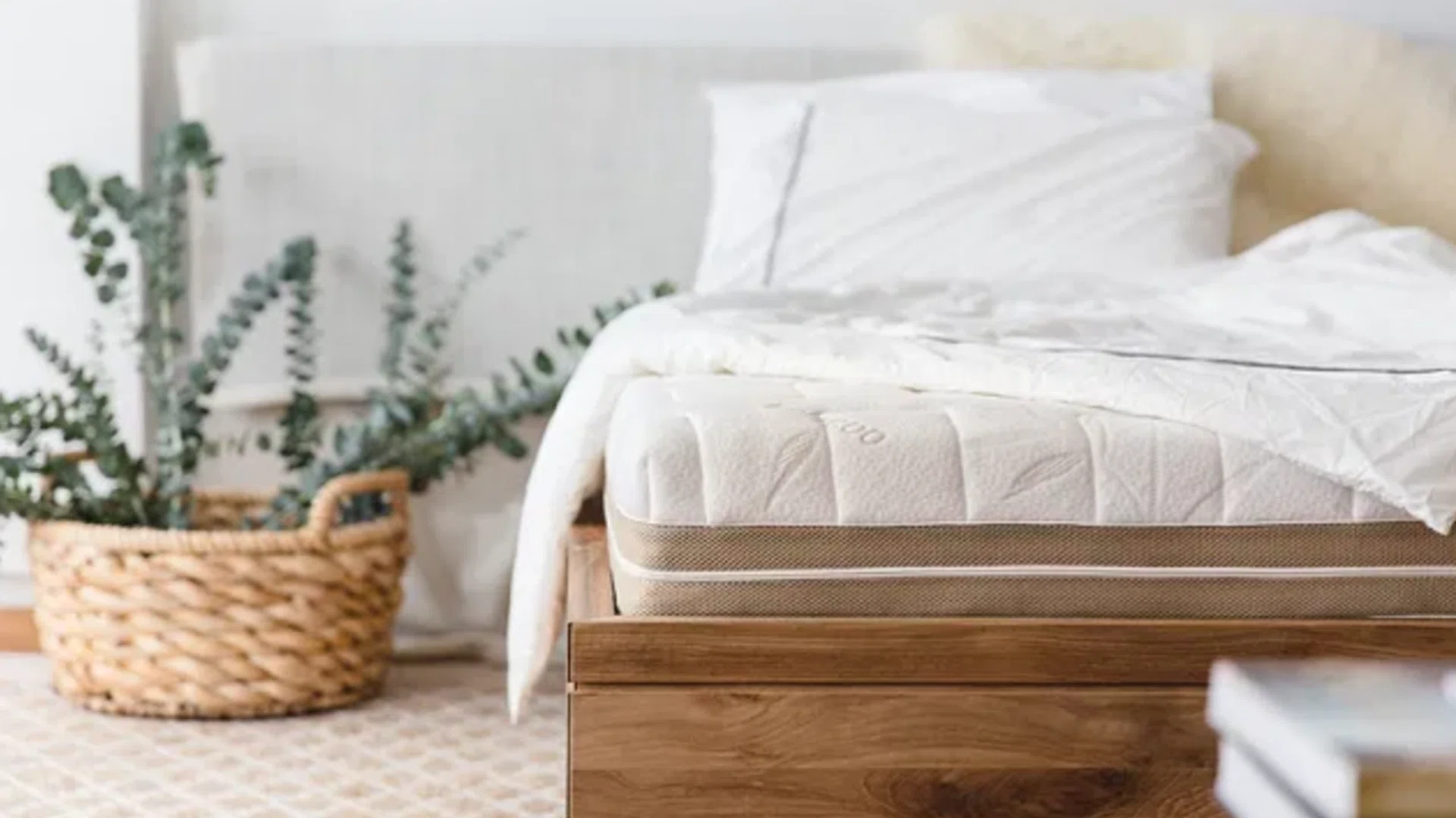 How To Choose The Right Mattress For Your Sleeping Position, Back Pain & More
