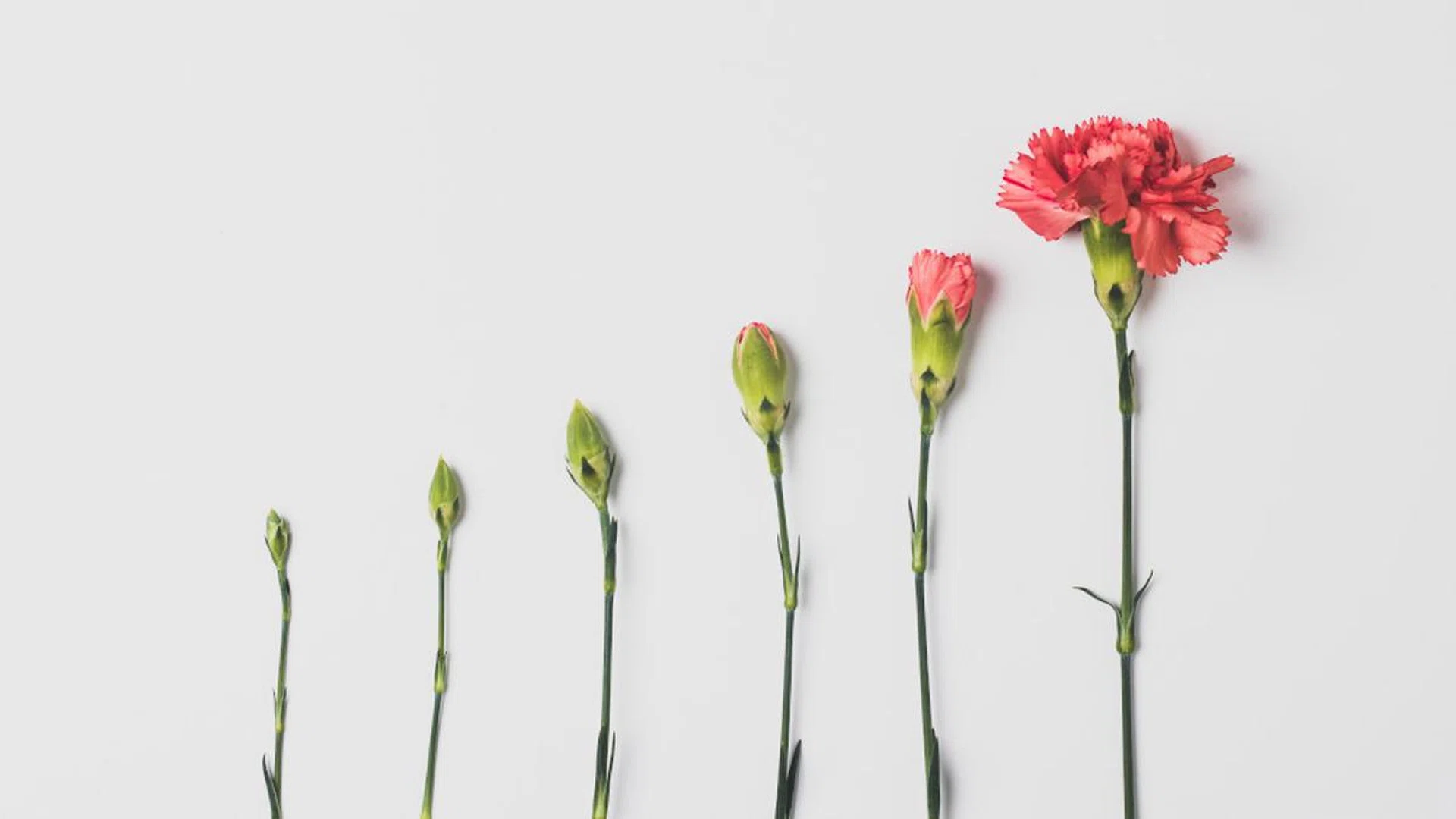 Mistakes to avoid when investing
