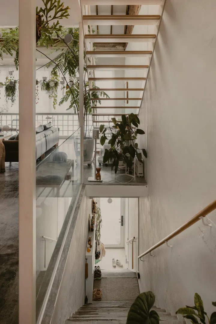 The lack of risers in the staircase leading to the mezzanine allows light from a skylight above to fall all the way down to the entrance staircase. (Photo: Studio Periphery)